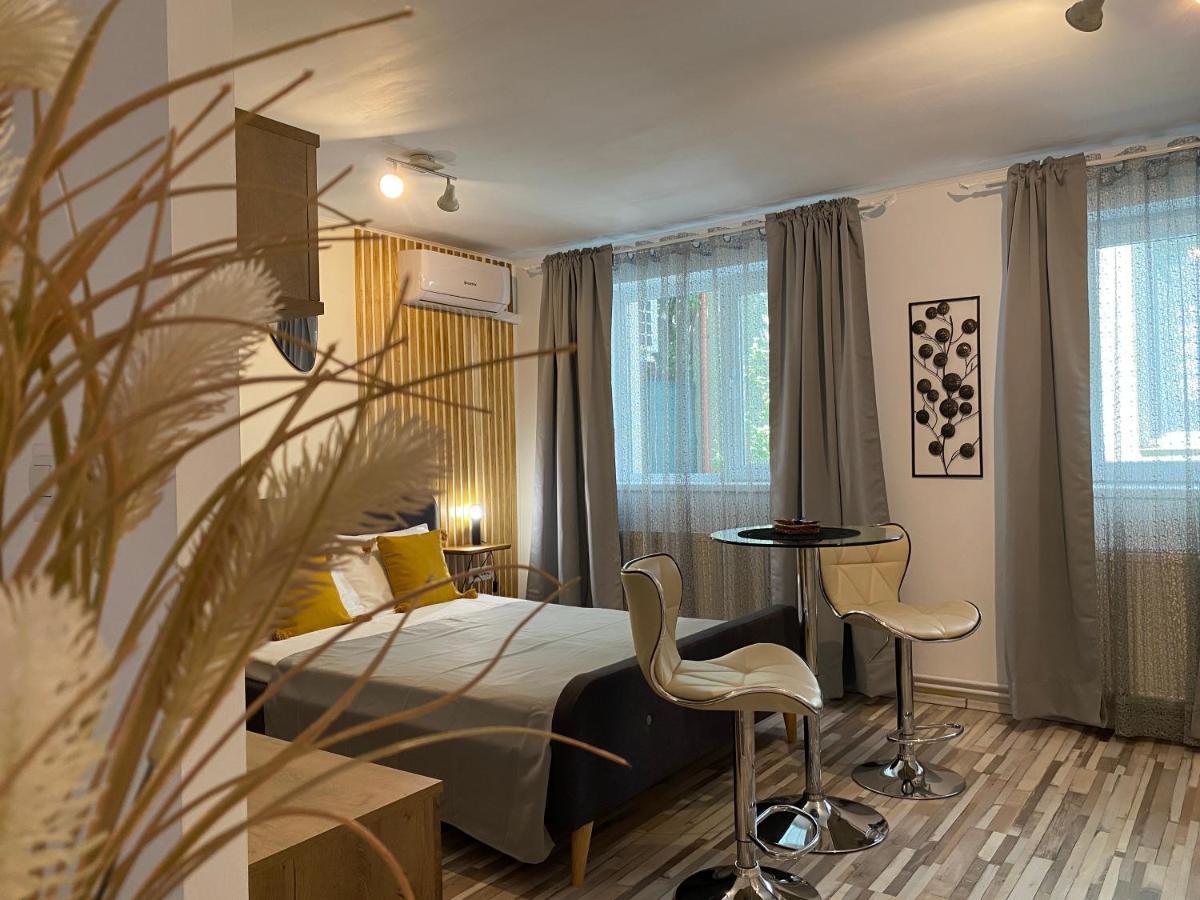 Urseni Studio Apartment Тимишоара Экстерьер фото