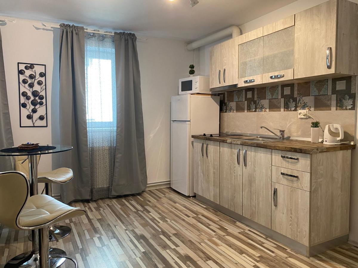 Urseni Studio Apartment Тимишоара Экстерьер фото