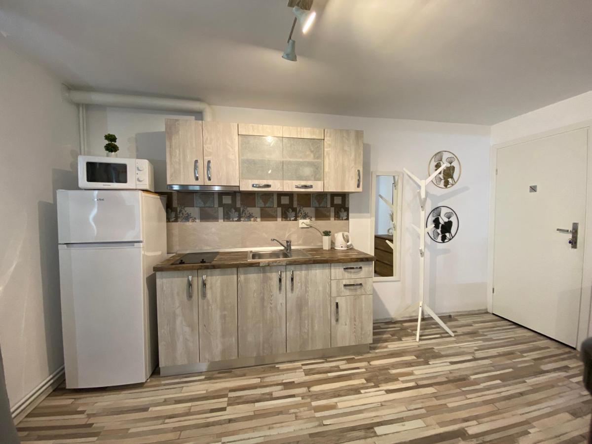 Urseni Studio Apartment Тимишоара Экстерьер фото