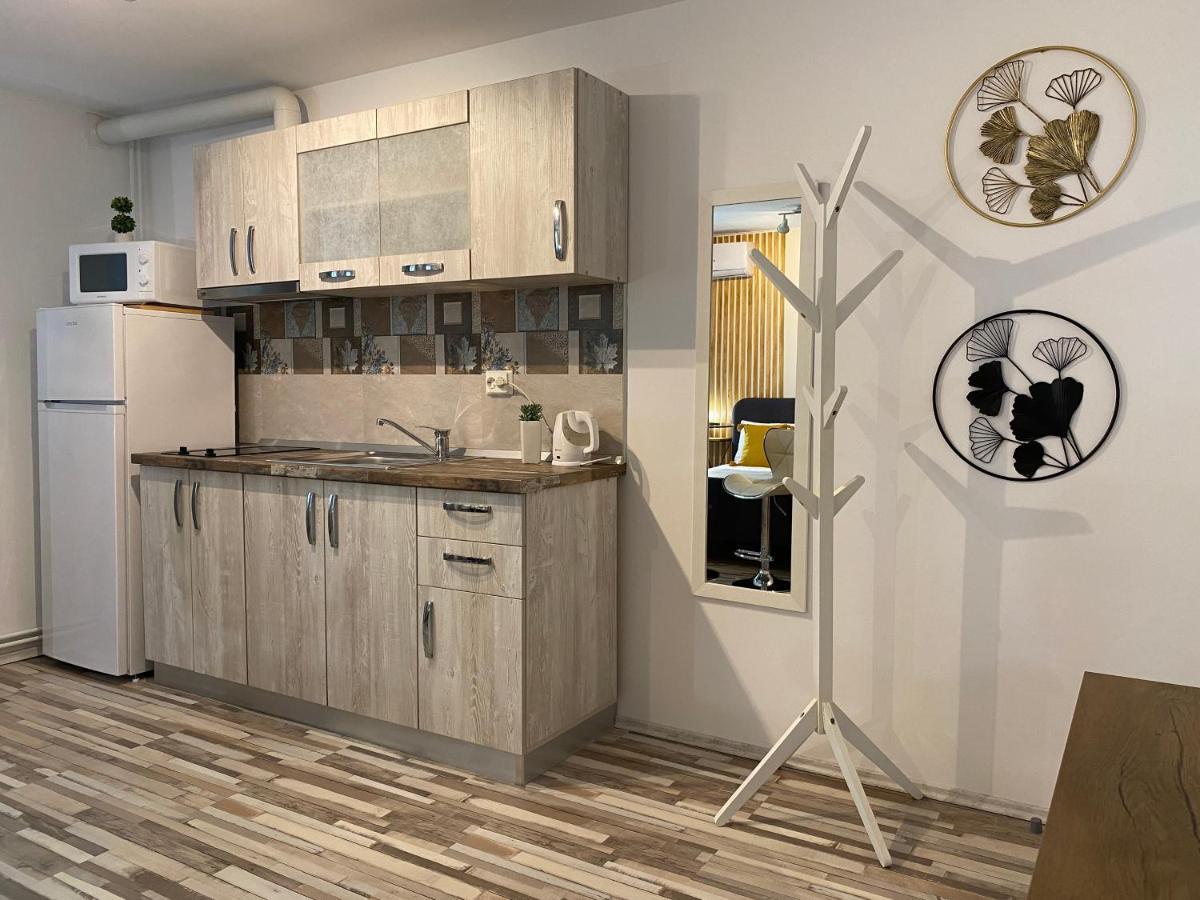 Urseni Studio Apartment Тимишоара Экстерьер фото